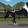NLS Tears Of The Cursed - AmabilisWB Stallion