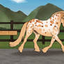 NLS Gold Tiara - Celtic Warlander Mare