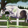 Shimmer Show - Free Jumping