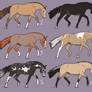 Cheap Horse Adopts - Set 9 - 2/6 OPEN