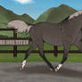 NLS The One Titan - AmabilisWB Stallion