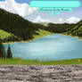 Northwind Lake Stables - New