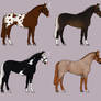 Horse Adopts - Set 9 - 3/4 OPEN