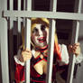 HARLEY QUINN ARKHAM KNIGHT COSPLAY