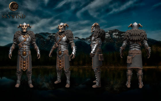 Nord Armor