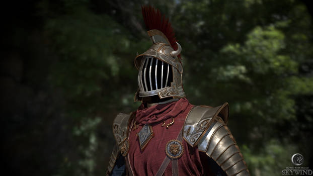 Skywind Imperial Templar armor