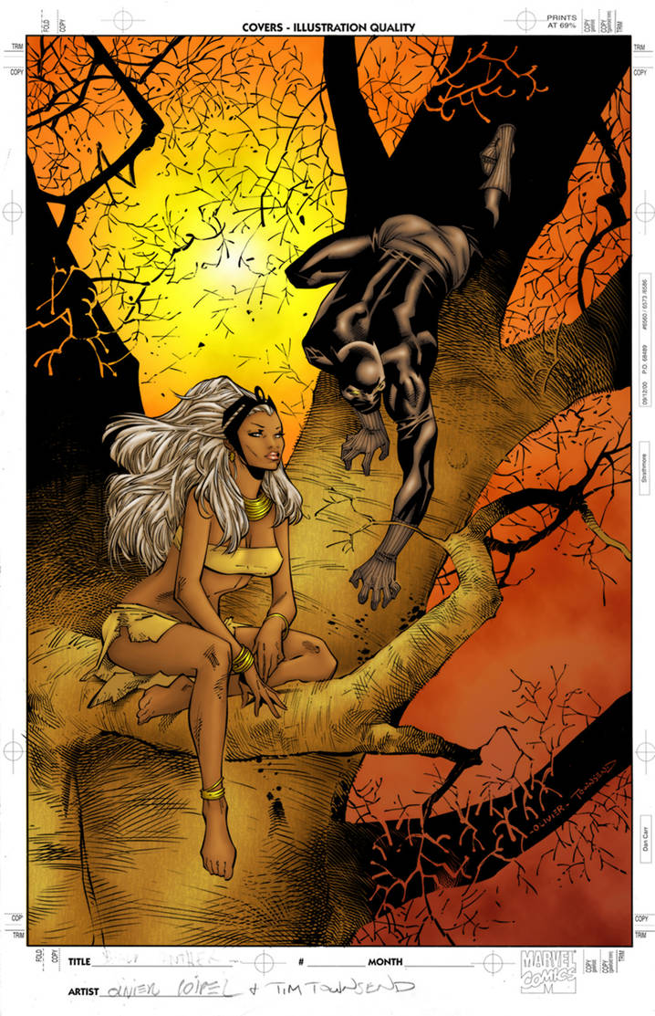 Black Panther and Storm by jeaf7