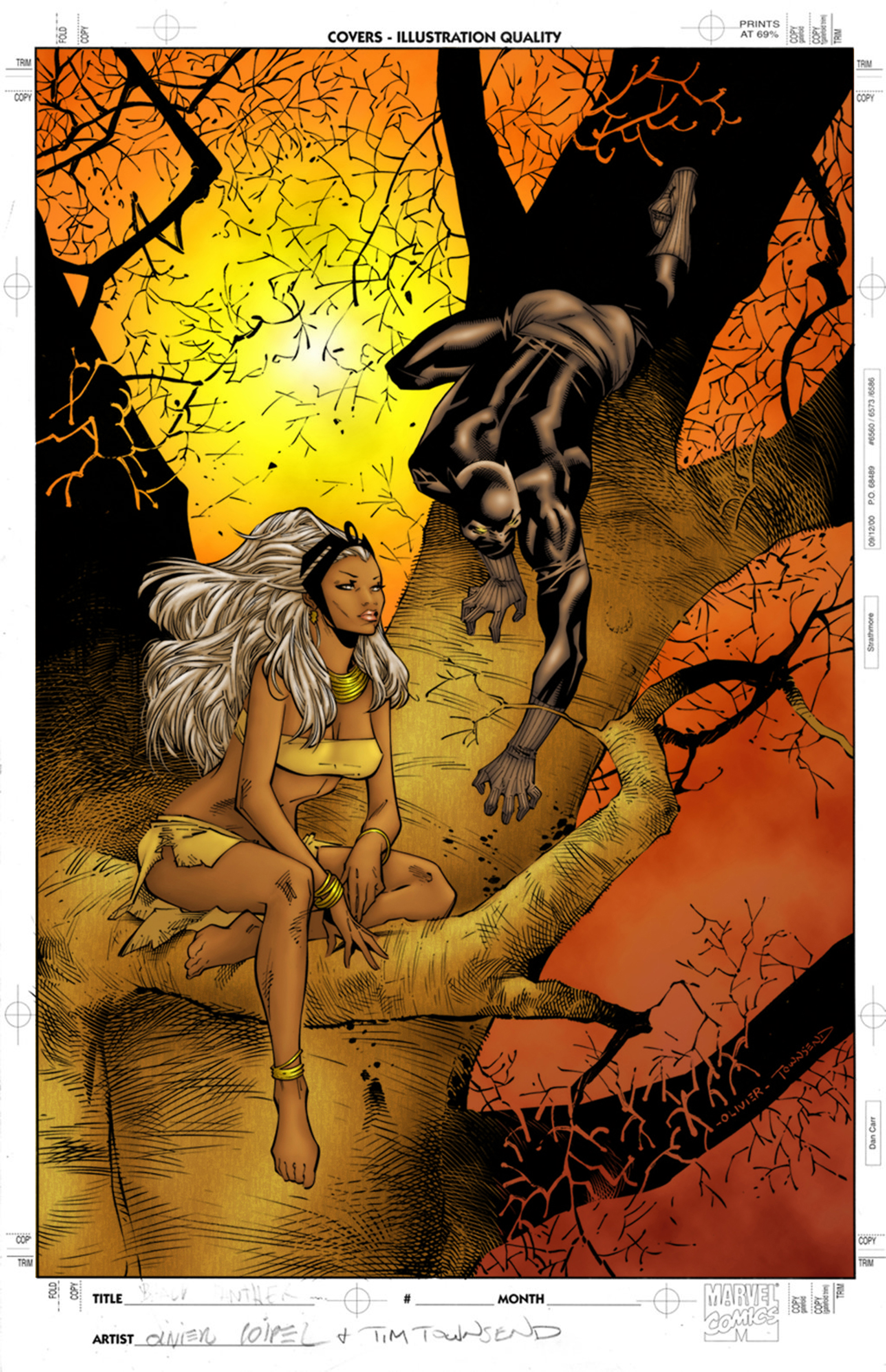 Black Panther and Storm by jeaf7