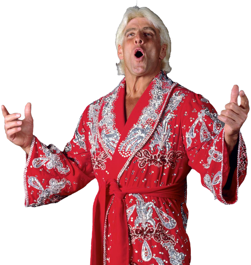Fake Ric Flair Ric Flair by ericjustin81 on DeviantArt