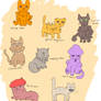 Various kinds of mushroom cat