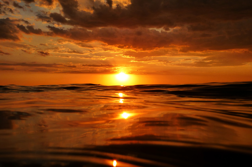 Sunrise from a Dolphins POV