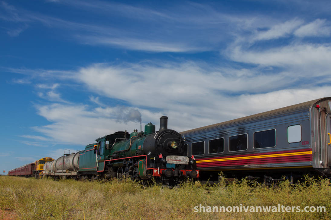 1079 Passing The Spirit of the Outback by ShannonIWalters
