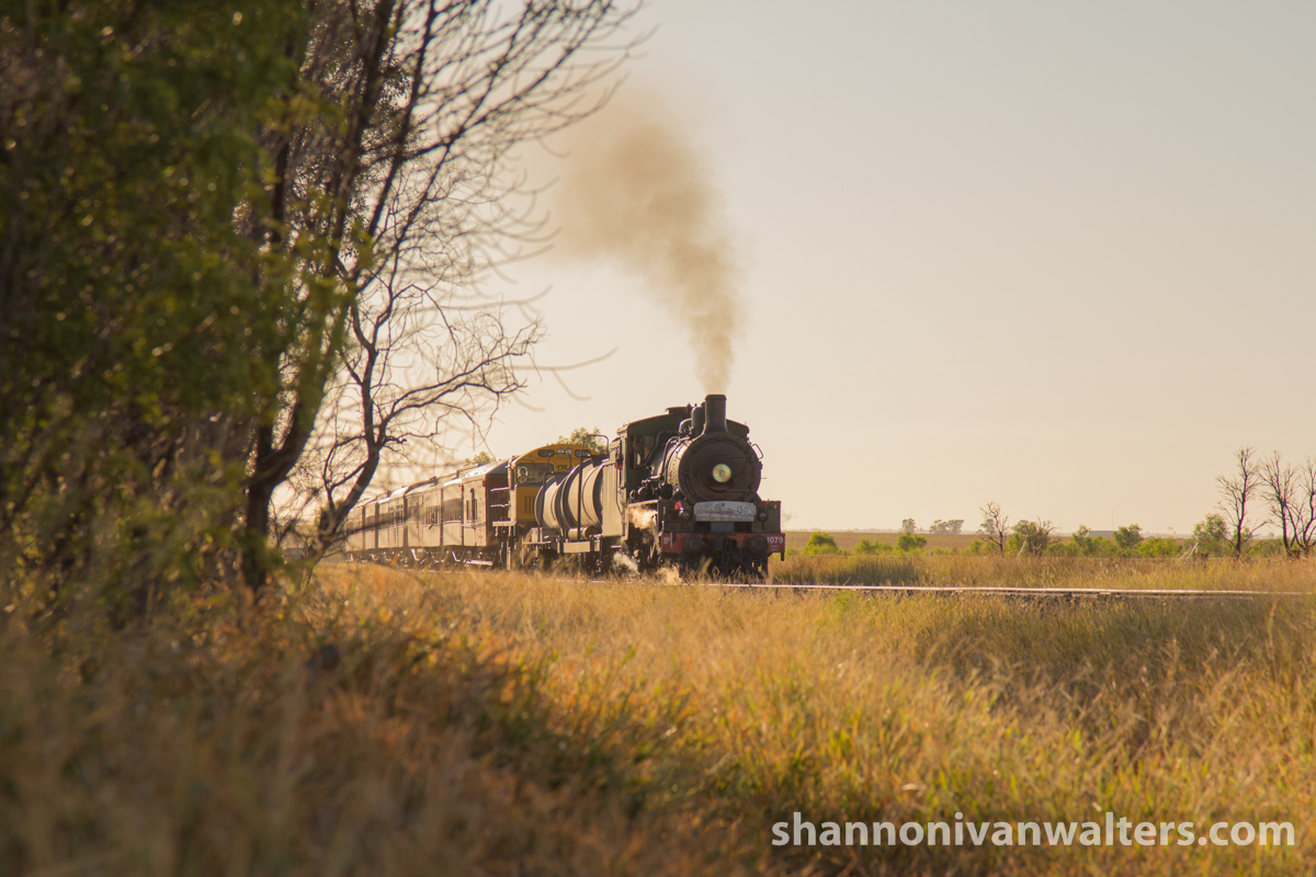 1079 in the Morning Light by ShannonIWalters