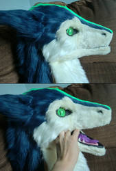 Jessie Sergal Head + Moving Jaw