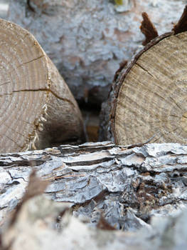 Wood Stack