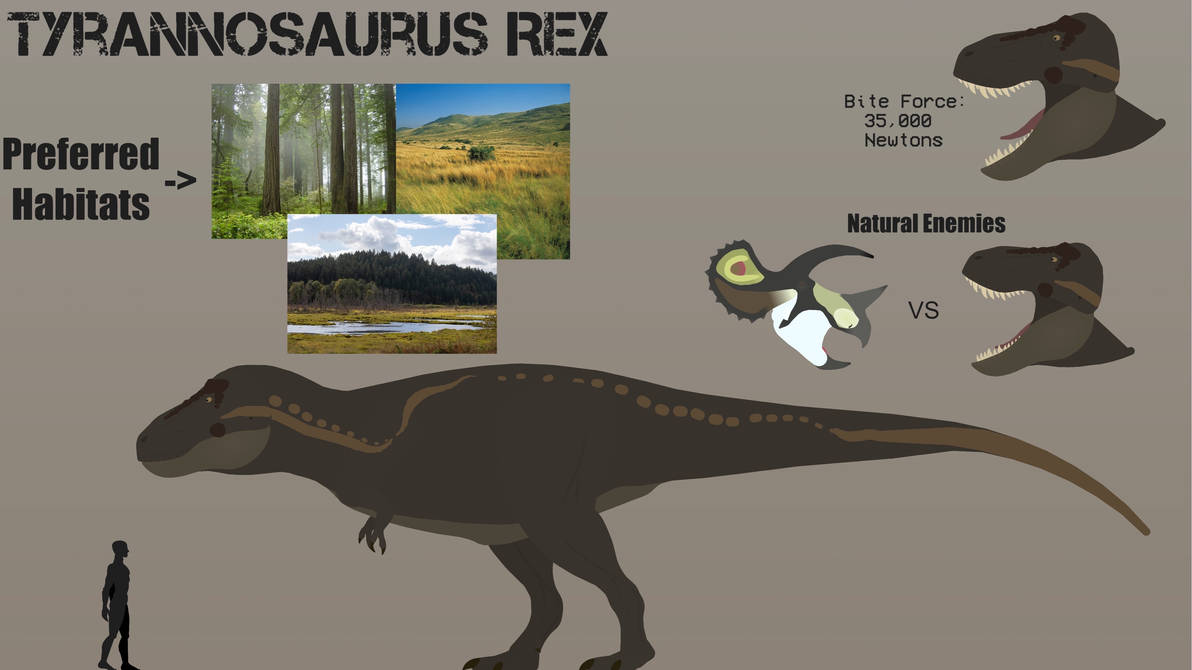 Species Profile #2 - T.Rex by RexArtistry on DeviantArt