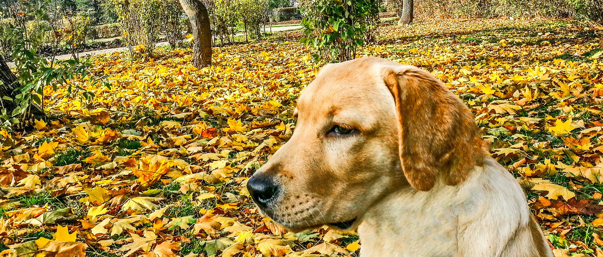 Sky in Autumn time