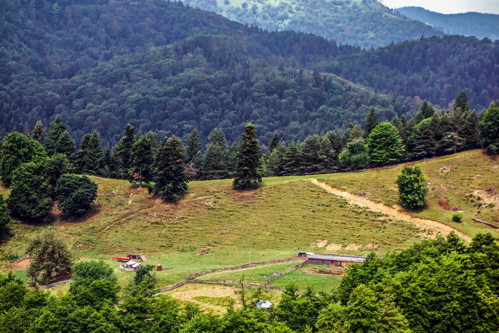 Farm from Bisericani by EnacheArmand