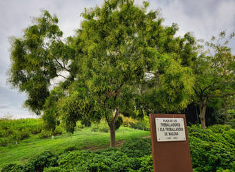 Placa de Les Treballadores