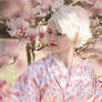 Cherry Blossom Lady