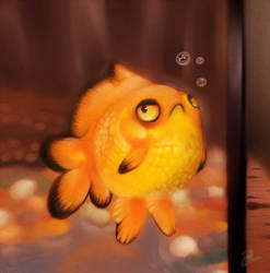 Grumpy Gold Fish