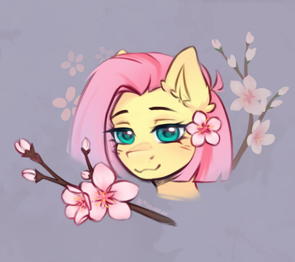 Cherry blossom season by Rin-Mandarin on DeviantArt