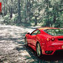 Ferrari F430 In Woods