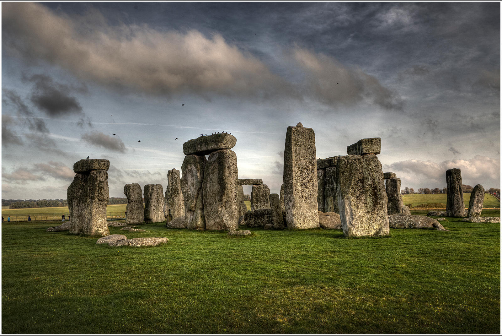 Ravens on Stonehenge