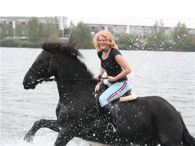 Waterhorse