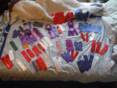 Explore the Best Rabbitshowawards Art | DeviantArt