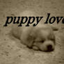 Puppy love.
