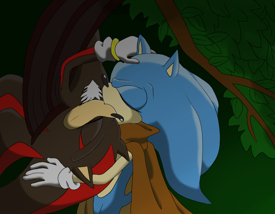 Sonic and Shadow kissing by xXSk8terVampireXx on DeviantArt