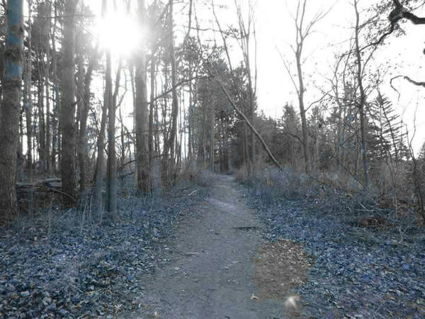 Blue Path Blue Path by ShaunAnarchy on DeviantArt