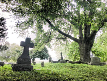 Old Century Cemetery 