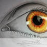 Orange Eye II