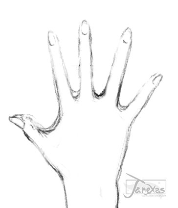 Hand Webbing Animation by Janexas on DeviantArt