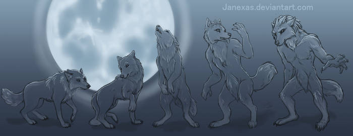 Reverse Werewolf .: Commission :.