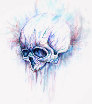 Watercolor skull :)