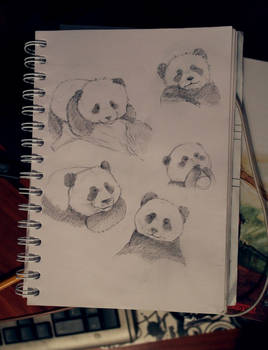 Pandas