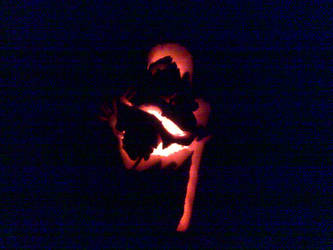 Bruce Lee Pumpkin