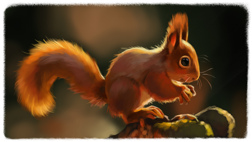 Squirrel Deviantart Squirrel Study by FancyPancakes on DeviantArt
