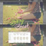 Spring Break {screenshoot}