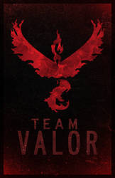 Team Valor Poster