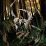 The Maggot King
