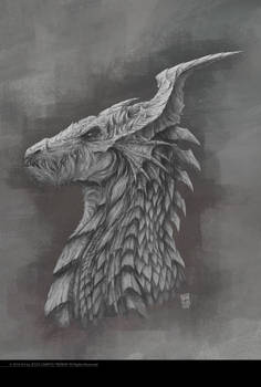 Dragon studio