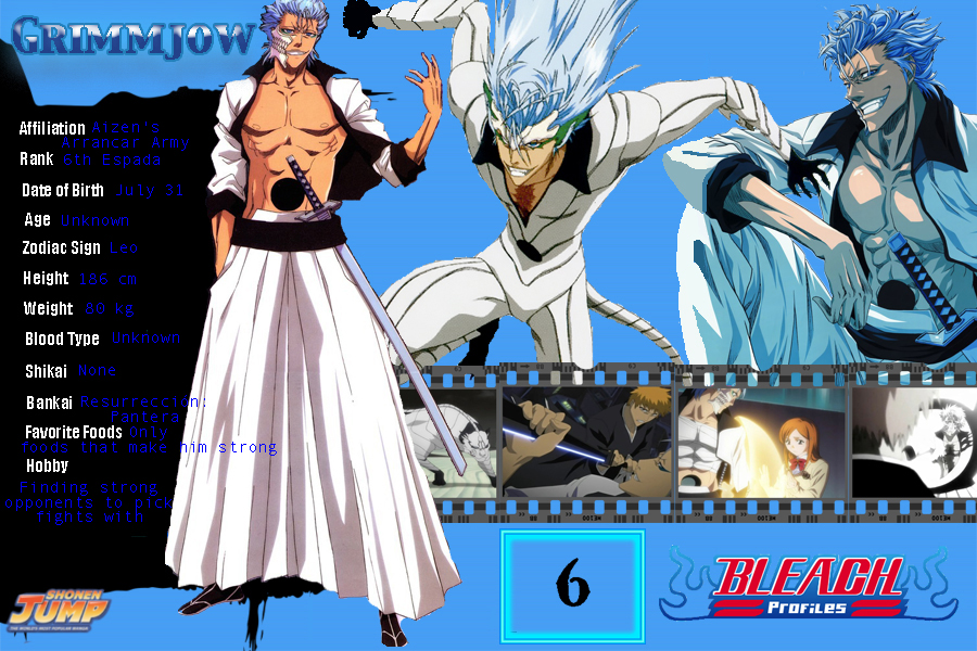 Grimmjow Profile by Revy11 on DeviantArt