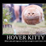 Hover Cat