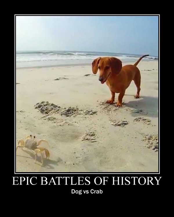 Epic Battles of History