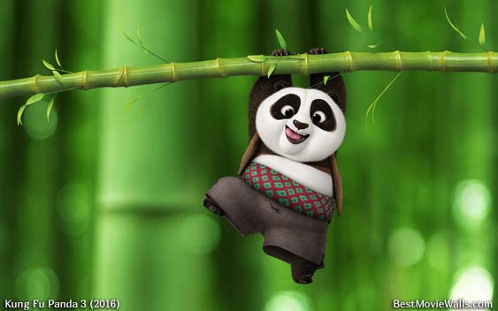 Baby Kung Fu Panda Hd Wallpapers Please Contact Us If You Want To Publish A Baby Panda Wallpaper On Lontoonpaivakirja Baby Kung Fu Panda Hd Wallpapers Please Contact Us If You Want To Publish A Baby Panda Wallpaper On Lontoonpaivakirja