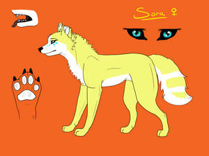 Azure Howl Fan character: Sora~ Light wolf by BlueSkyWolf